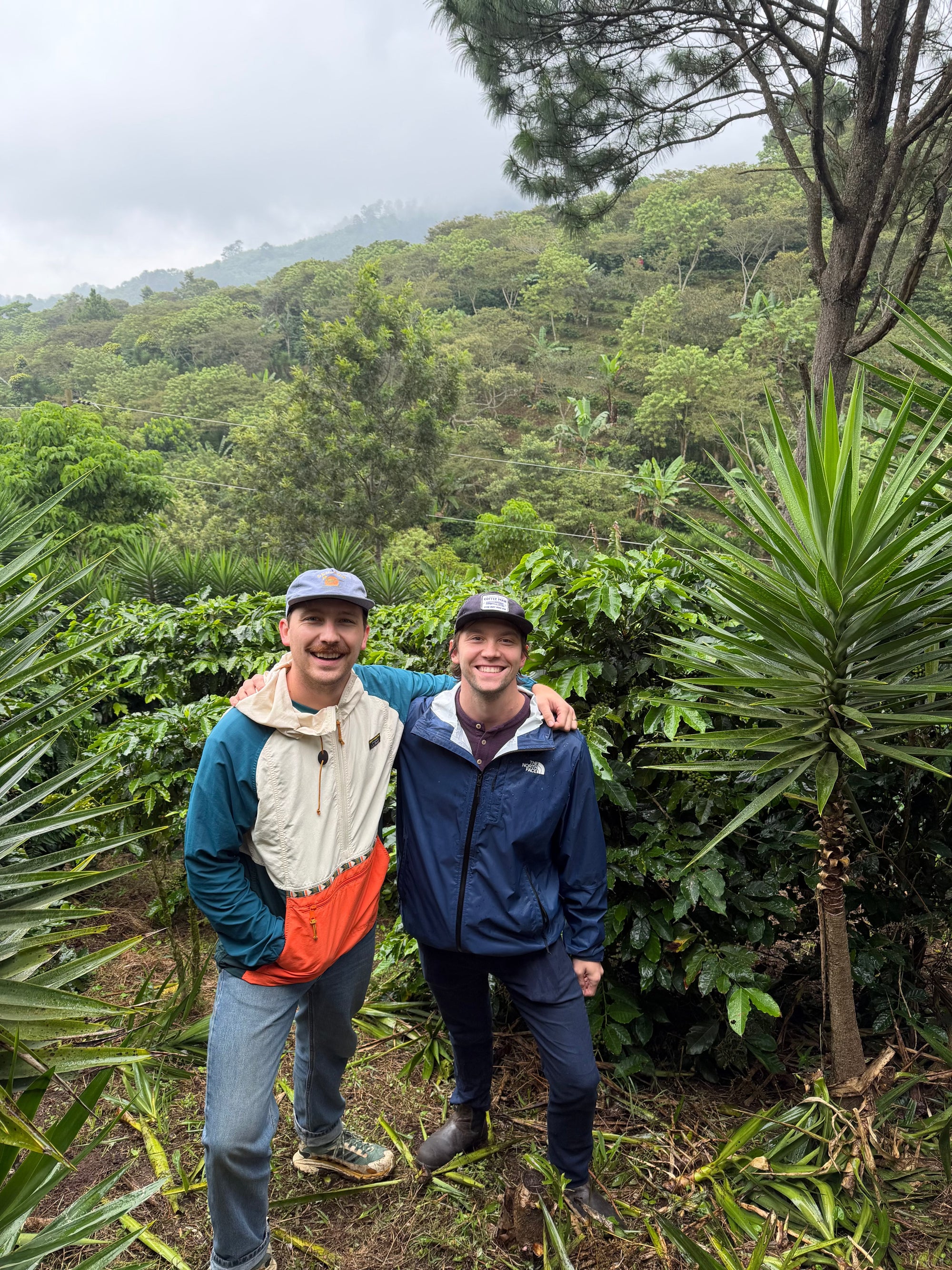Honduras - The City In The Forest My Store