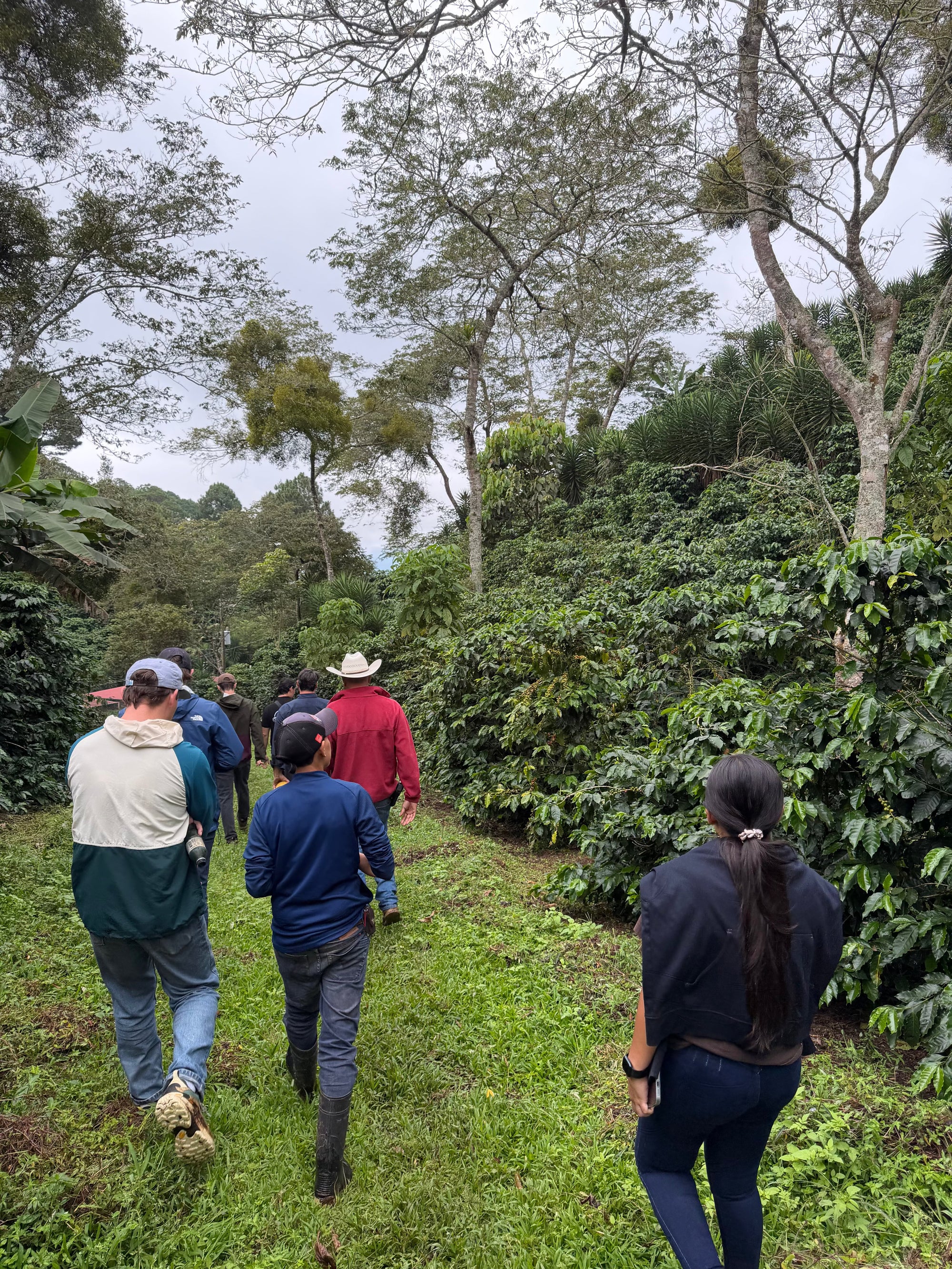 Honduras - The City In The Forest My Store